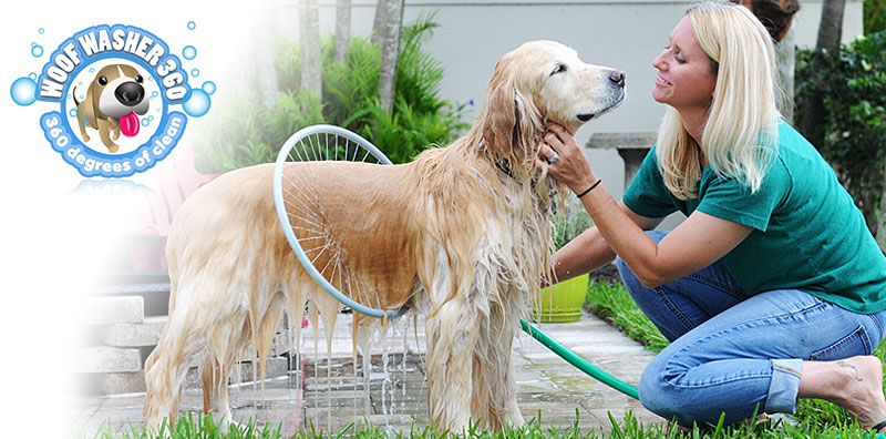 The Woof Washer Still Needs Your Help & a Cool Inventor Episode Waiting for You!